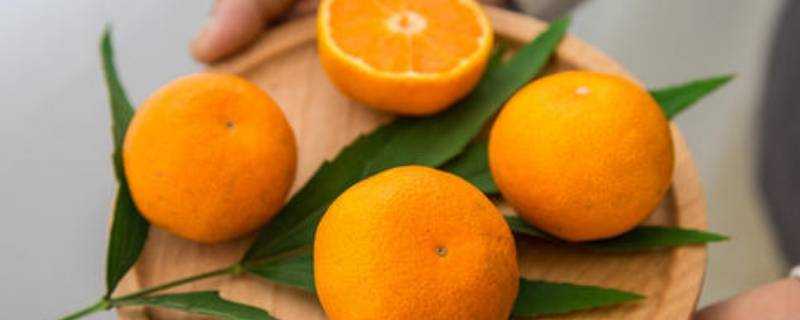 橘子含有哪些維生素