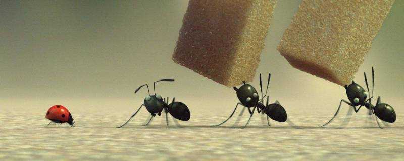 螞蟻靠什麼辨別味道