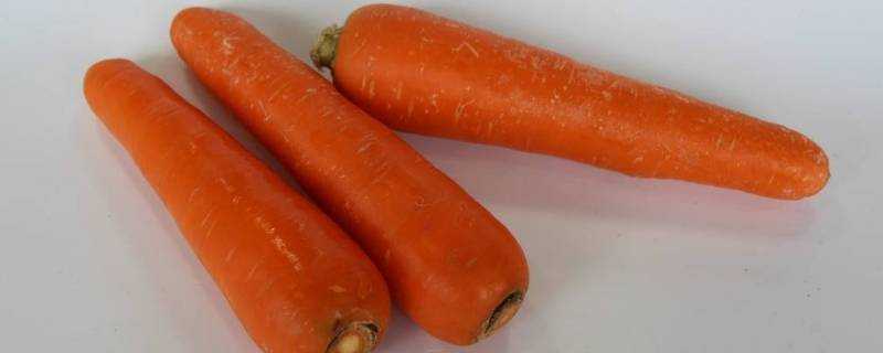 胡蘿蔔和什麼蔬菜搭配