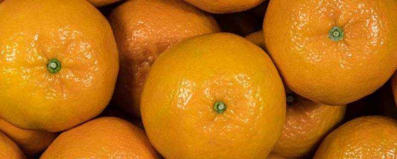 橘子白色的絲能吃嗎