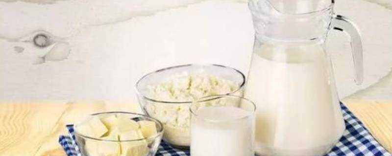 發酵乳和酸奶有什麼區別