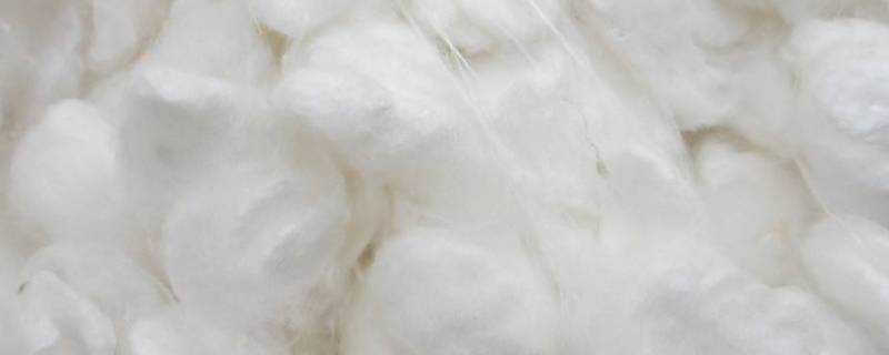 什麼是蠶絲棉