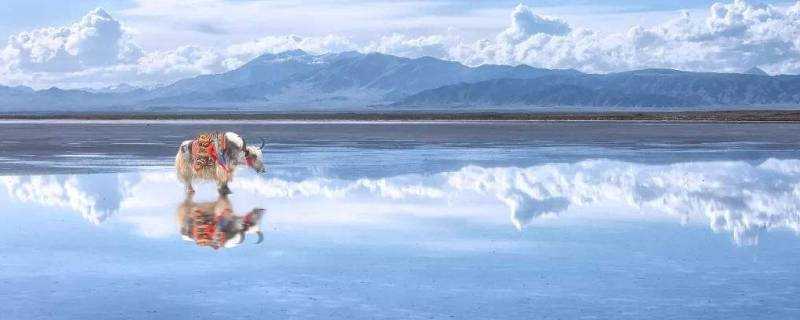 天空之鏡茶卡鹽湖在哪個城市