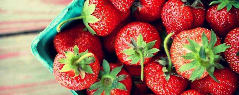 草莓是果實嗎