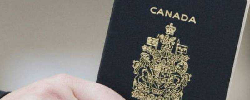 海外護照是什麼意思