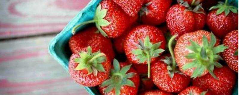 草莓代表什麼意思
