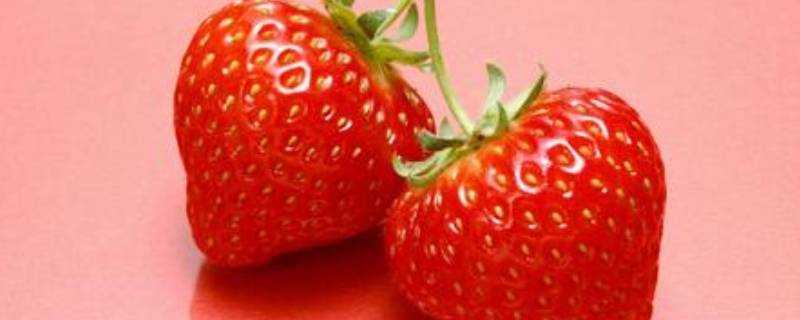 冬季是吃草莓的季節嗎