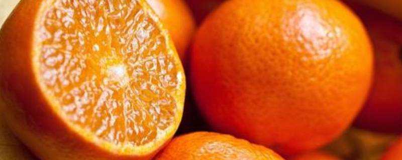 橙子代表什麼象徵意義