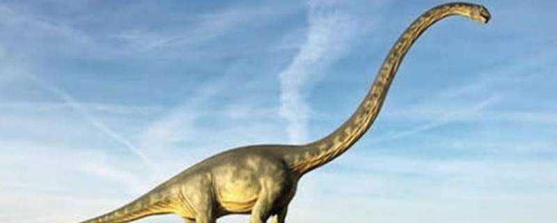 脖子長的恐龍叫什麼