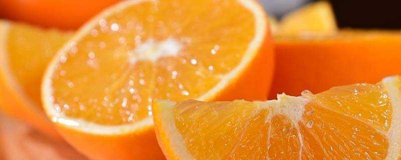 江西橙子有什麼品種