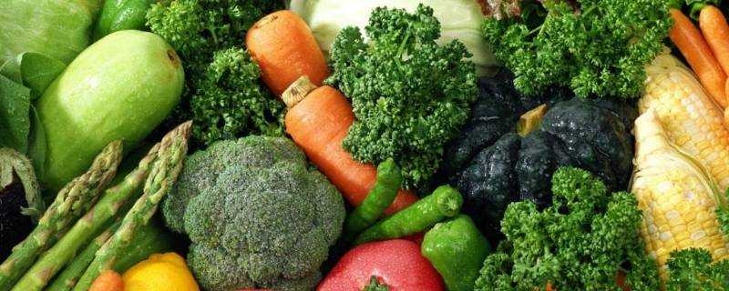 秋天豐收的蔬菜有什麼