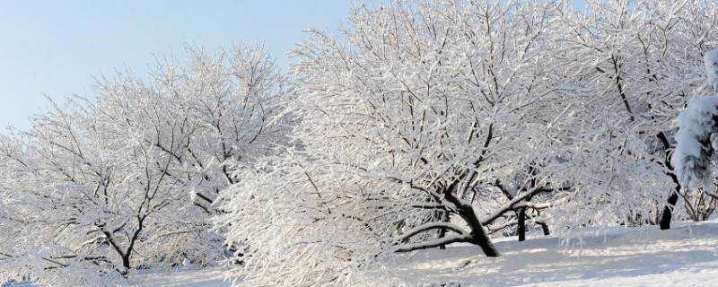 大雪節氣是農曆哪天