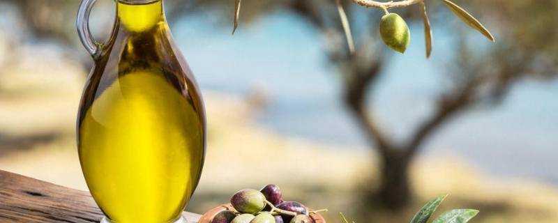 過期三年的橄欖油能吃嗎