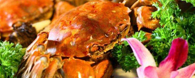 鴨肉螃蟹能一起吃嗎