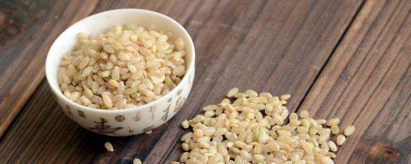 糙米能和小米一塊熬粥嗎