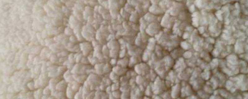 舒棉絨是什麼材質