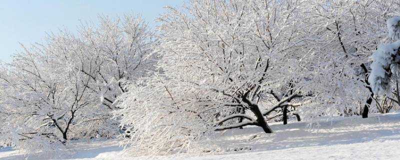 大雪節氣的天氣特點