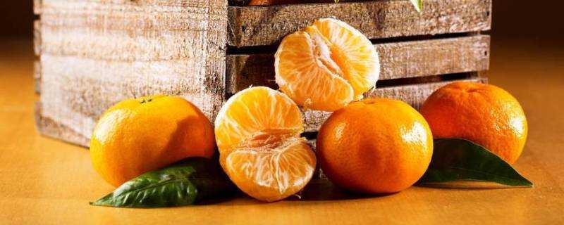 橘子怎麼儲存2個月