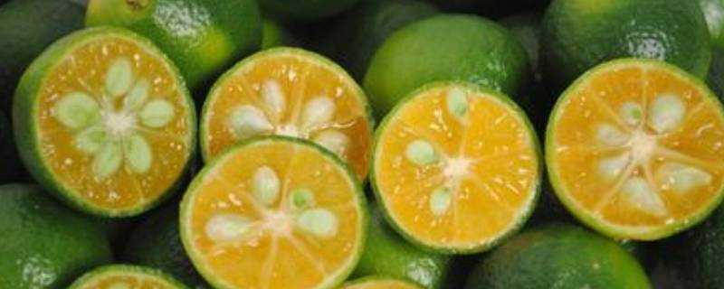 綠色的小橘子很甜是什麼品種