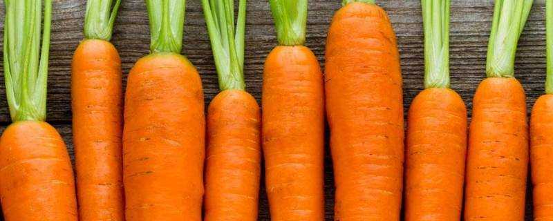 胡蘿蔔中間發綠能吃嗎
