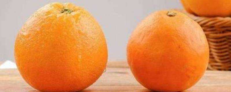 臍橙怎麼儲存才不會壞