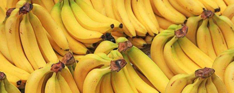 香蕉產地主要在哪個省
