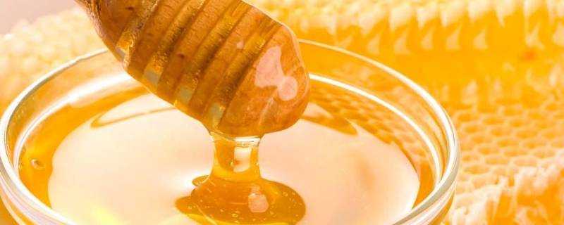 蜂蜜結晶後怎麼判斷是真假蜂蜜