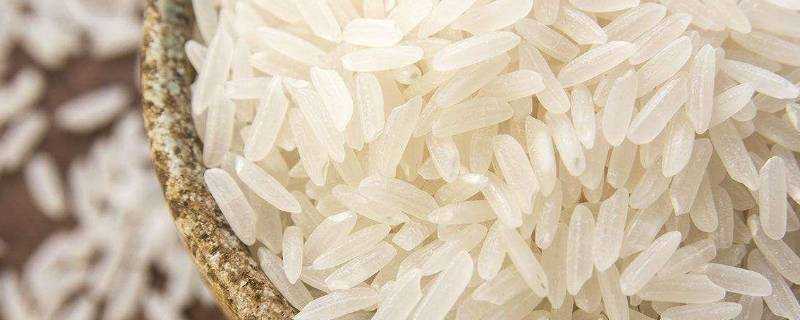 長米粒是什麼米