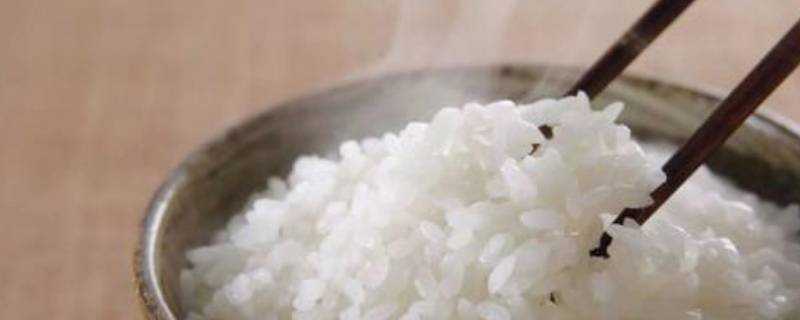 蒸好的米飯在冰箱裡可以放多久