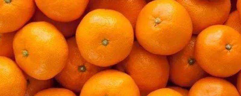 橘與桔有何不同