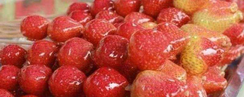 草莓糖葫蘆可以儲存多久