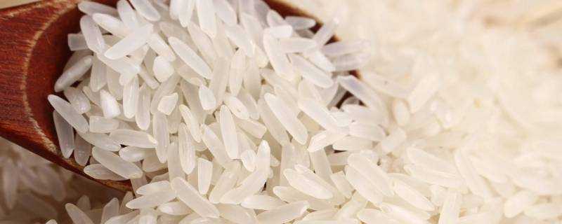粘米是什麼米