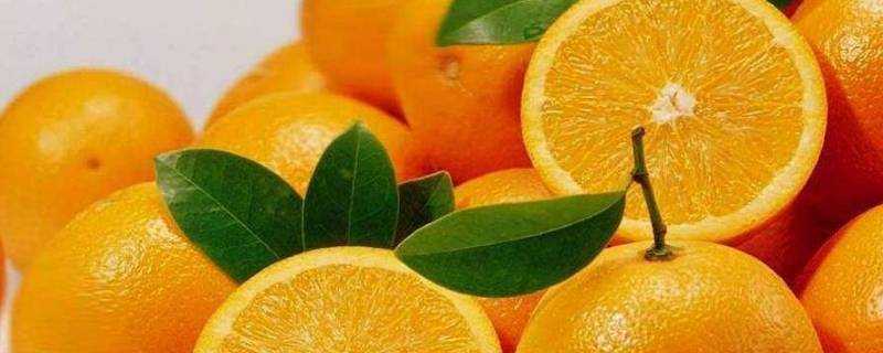 冬天橙子怎樣儲存不容易壞