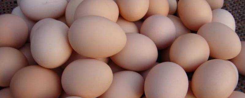 雞蛋冬天能放多長時間