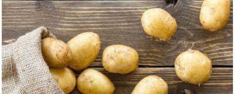 土豆是否應該存放在乾燥陰涼處