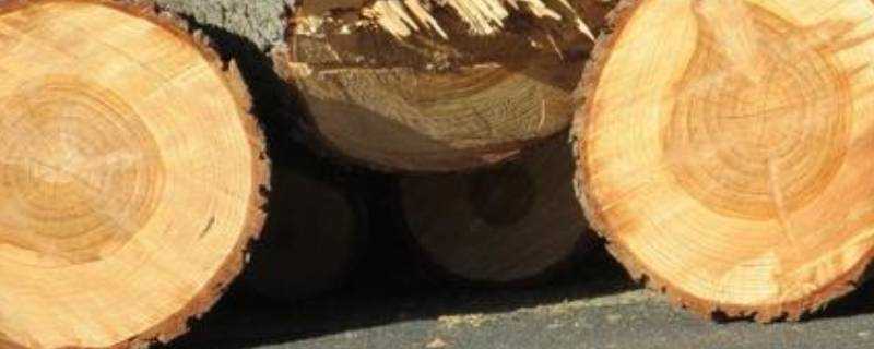 木材密度
