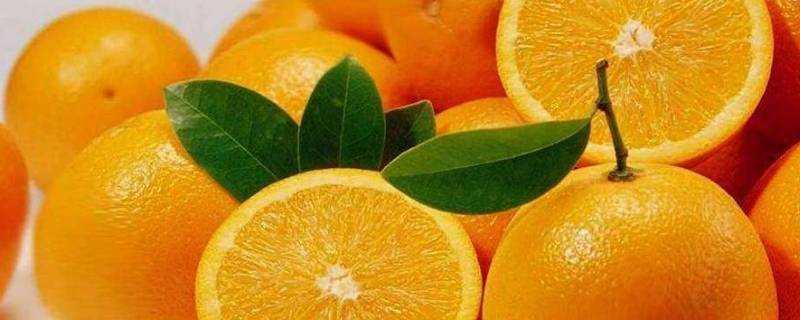 橙子有幾種品種