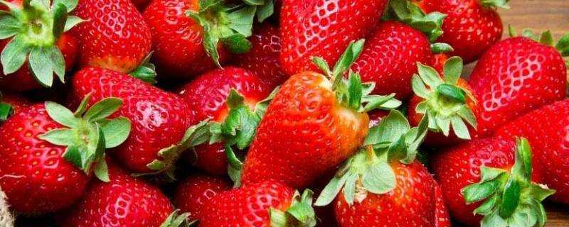 丹東草莓12月是反季水果嗎