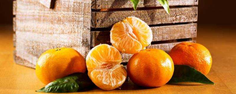 橘子冬天放在室外怕凍嗎