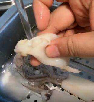 海兔子怎麼處理乾淨