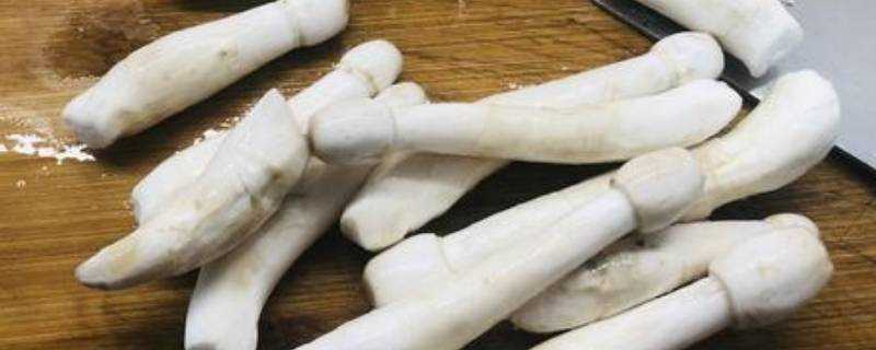 白色長杆小頭是什麼蘑菇
