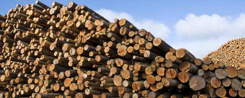 一方木頭是多少噸