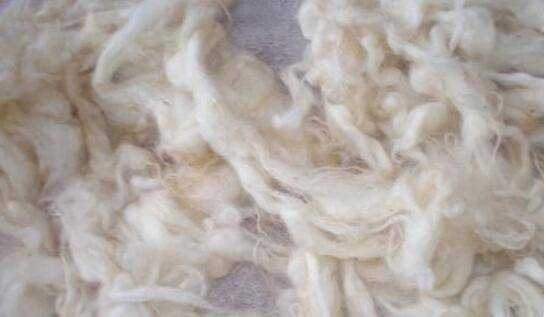 羊毛怎麼做成毛線