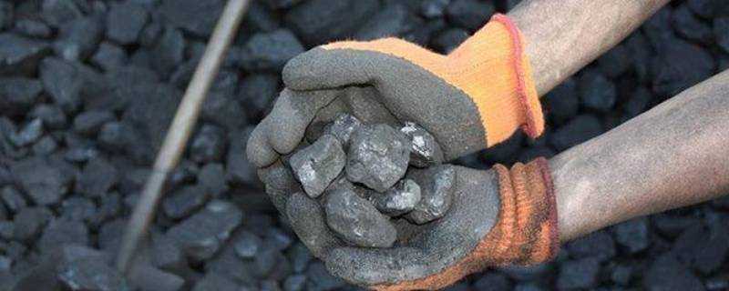 煤的種類有哪些