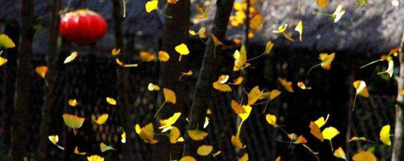 秋風吹來 落葉在林間飛動改擬人句