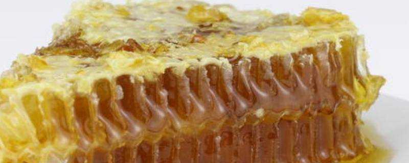 蜂巢蜜的蜂巢可以吃嗎
