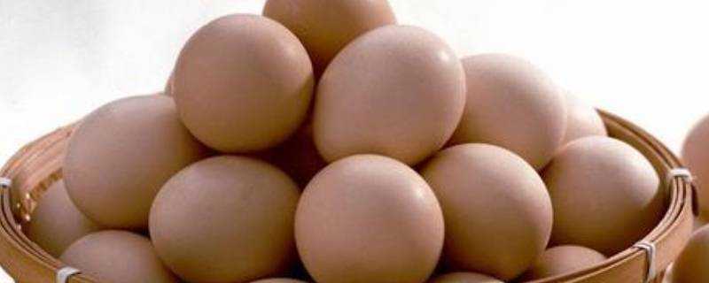冷藏的雞蛋能孵小雞嗎