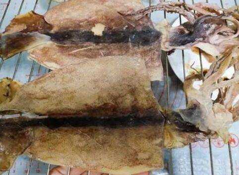 幹魷魚怎麼燒烤
