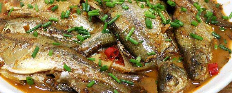 幹海魚怎麼做好吃又簡單