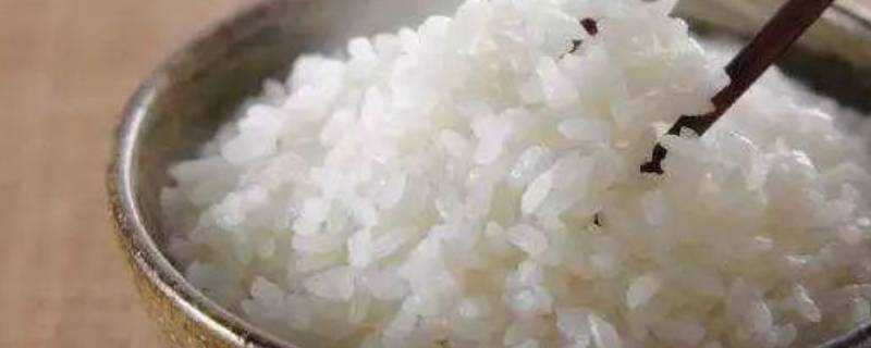 大米飯怎麼炒才好吃